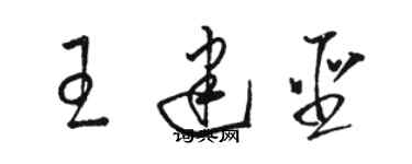 駱恆光王建聖草書個性簽名怎么寫