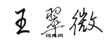 駱恆光王翠微行書個性簽名怎么寫