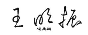 駱恆光王明振草書個性簽名怎么寫