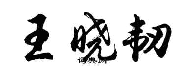 胡問遂王曉韌行書個性簽名怎么寫
