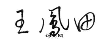 駱恆光王鳳田草書個性簽名怎么寫