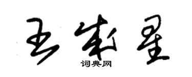 朱錫榮王成星草書個性簽名怎么寫