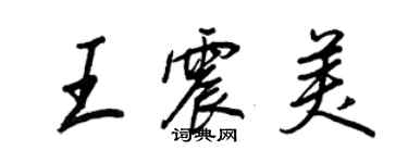 王正良王震美行書個性簽名怎么寫