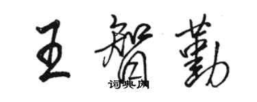 駱恆光王智勤行書個性簽名怎么寫