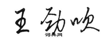 駱恆光王勁吹行書個性簽名怎么寫