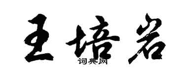 胡問遂王培岩行書個性簽名怎么寫