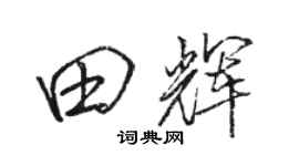 駱恆光田輝行書個性簽名怎么寫