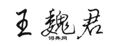 駱恆光王魏君行書個性簽名怎么寫