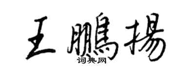 王正良王鵬揚行書個性簽名怎么寫