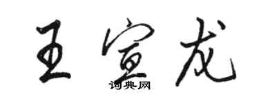 駱恆光王宣龍行書個性簽名怎么寫