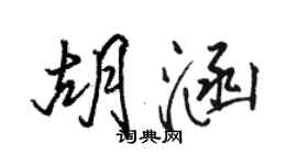 駱恆光胡涵行書個性簽名怎么寫