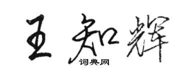 駱恆光王知輝行書個性簽名怎么寫