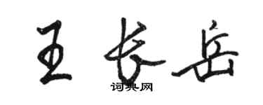駱恆光王長岳行書個性簽名怎么寫