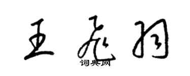 梁錦英王飛羽草書個性簽名怎么寫