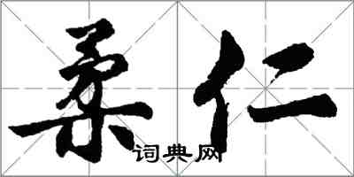 胡問遂柔仁行書怎么寫