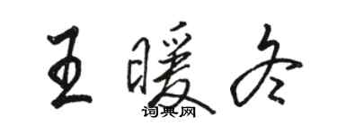 駱恆光王暖冬行書個性簽名怎么寫