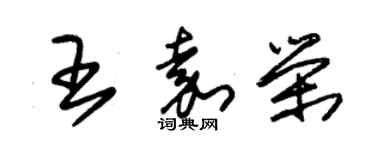 朱錫榮王嘉榮草書個性簽名怎么寫