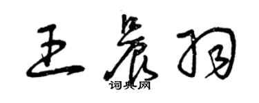 曾慶福王晨羽草書個性簽名怎么寫