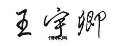駱恆光王宇卿行書個性簽名怎么寫