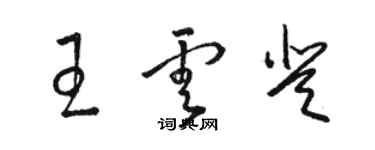 駱恆光王雲登草書個性簽名怎么寫