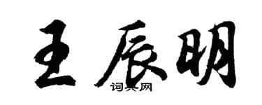 胡問遂王辰明行書個性簽名怎么寫