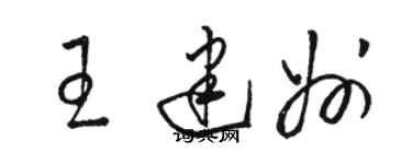 駱恆光王建州草書個性簽名怎么寫