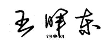 朱錫榮王暉東草書個性簽名怎么寫