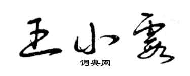 曾慶福王小霞草書個性簽名怎么寫