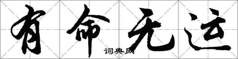 胡問遂有命無運行書怎么寫