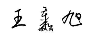 梁錦英王叢旭草書個性簽名怎么寫