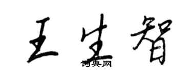 王正良王生智行書個性簽名怎么寫