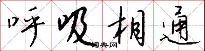 呼吸相通怎么寫好看