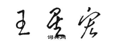 駱恆光王星宏草書個性簽名怎么寫