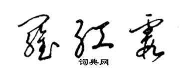 梁錦英羅紅霞草書個性簽名怎么寫