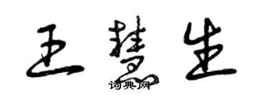 曾慶福王慧生草書個性簽名怎么寫