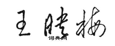 駱恆光王映梅草書個性簽名怎么寫