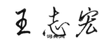 駱恆光王志宏行書個性簽名怎么寫