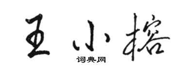 駱恆光王小榕行書個性簽名怎么寫