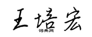 王正良王培宏行書個性簽名怎么寫