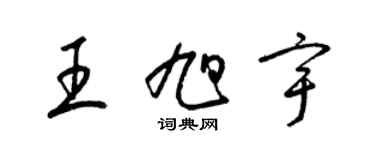 梁錦英王旭宇草書個性簽名怎么寫