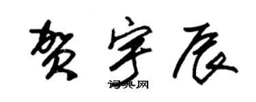 朱錫榮賀宇辰草書個性簽名怎么寫