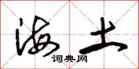 朱錫榮海土草書怎么寫
