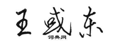 駱恆光王或東行書個性簽名怎么寫