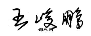 朱錫榮王峻鵬草書個性簽名怎么寫