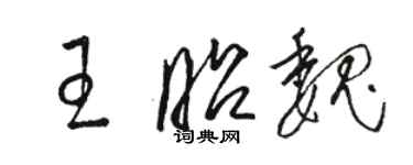 駱恆光王昭魏草書個性簽名怎么寫