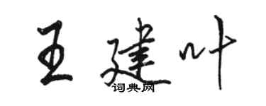 駱恆光王建葉行書個性簽名怎么寫