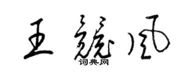 梁錦英王競風草書個性簽名怎么寫