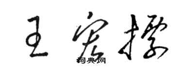 駱恆光王宏標草書個性簽名怎么寫
