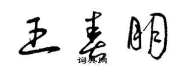 曾慶福王春朋草書個性簽名怎么寫