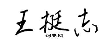 王正良王挺志行書個性簽名怎么寫